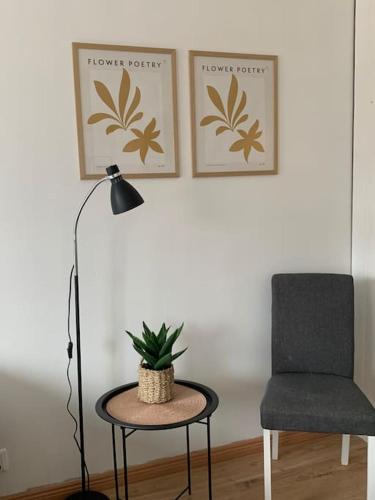 a chair and a table with a plant on it at 2BR big Apartment A8, free parking on the street in Oulu