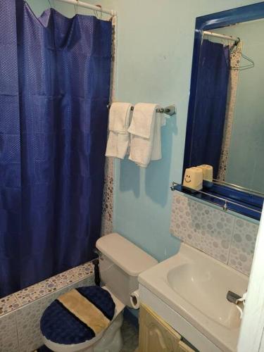 a bathroom with a toilet and a blue shower curtain at Country Style living in Albion