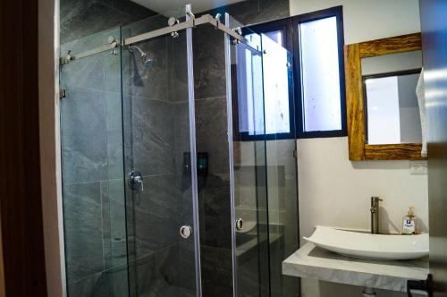 W łazience znajduje się prysznic i umywalka. w obiekcie Centro Expositor, Feria, Estadios, Planetario #4 w mieście Puebla