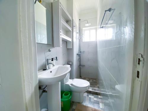uma casa de banho com um lavatório, um WC e um chuveiro em Green-Hills Apartment em Kwabenya