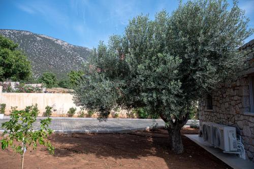 a tree sitting next to a building with a bench at Costa Bianca Villas in Koilás
