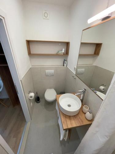 a small bathroom with a sink and a toilet at Aurelia Rooms in Mostar
