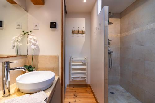 La salle de bains est pourvue d'un lavabo et d'une douche. dans l'établissement l'Oeil de Carcassonne, à Caudebronde