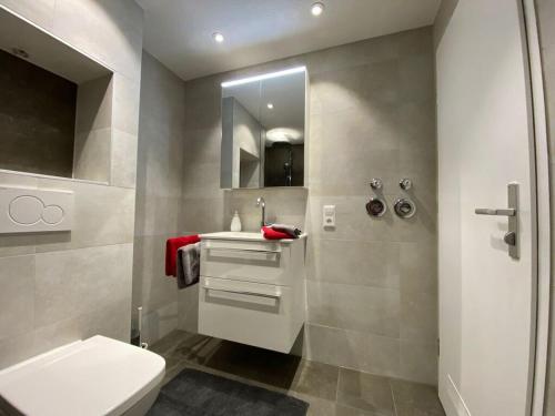 托特莫斯的住宿－Black Forest Nest，一间带卫生间、水槽和镜子的浴室
