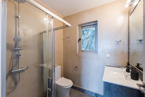 a bathroom with a shower and a toilet and a sink at Costa Bianca Villas in Koilás