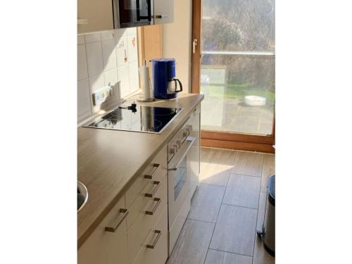uma cozinha com um lavatório e uma bancada em Deimann Modern retreat em Schmallenberg
