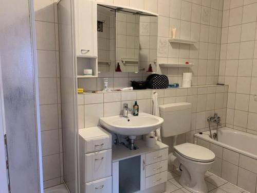 La salle de bains est pourvue d'un lavabo, de toilettes et d'un miroir. dans l'établissement Tannenausblick Schmidt, à Oberhof