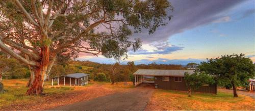 a house on a dirt road next to a tree at Buckenderra Holiday Village in Rocky Plain