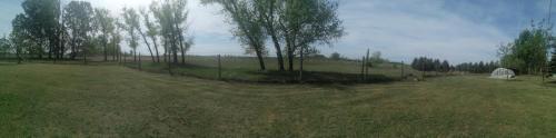 a field with a fence and trees and a tent at Nyugalom Szigete Vendégház in Bócsa