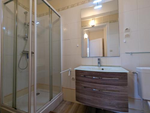 a bathroom with a shower and a sink and a mirror at Appartement Arcachon, 1 pièce, 4 personnes - FR-1-420-125 in Arcachon