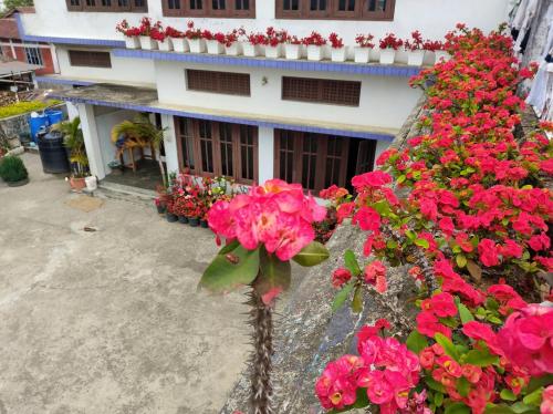 un edificio con fiori rosa di fronte di Shunyu Homestay, Mima a Kohīma