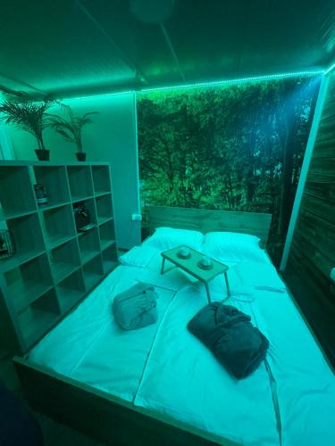 Vikendica Freedom في بوزاريفاتش: غرفة نوم مع سرير مع ضوء أزرق