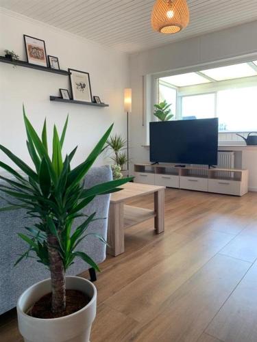 ein Wohnzimmer mit einem TV und einer Topfpflanze in der Unterkunft Ferienwohnung Wanderlust in Bad Rothenfelde