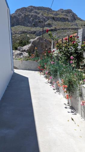 Γενική θέα στο βουνό ή θέα στο βουνό από  αυτή η παραθεριστική κατοικία