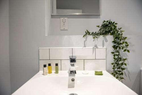 a bathroom with a white sink and a plant at Superb 2 Bedroom Aparttment in Central Birmingham in Birmingham