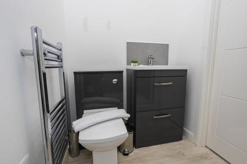 a bathroom with a toilet and a sink at Modern 1BR Bolton Apartment in Central Location in Bolton