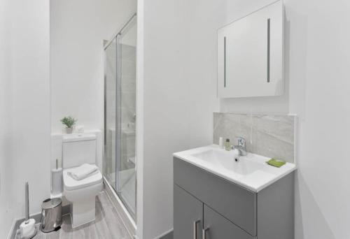 a white bathroom with a toilet and a sink at Contemporary 1 Bedroom Apartment in Dudley in Brierley Hill