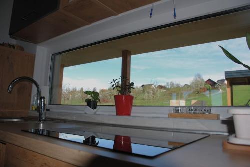 een aanrecht met een raam in een keuken bij Hiška Mirna ravnica in Moravske-Toplice