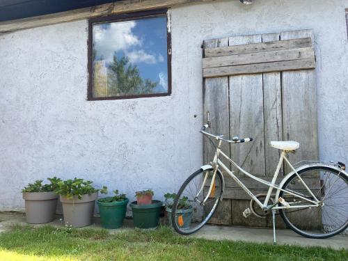 uma bicicleta estacionada ao lado de um edifício com vasos de plantas em Salaš na dan, Futog em Futog