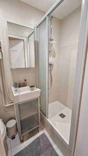 a small bathroom with a shower and a sink at Michel Ange in Paris