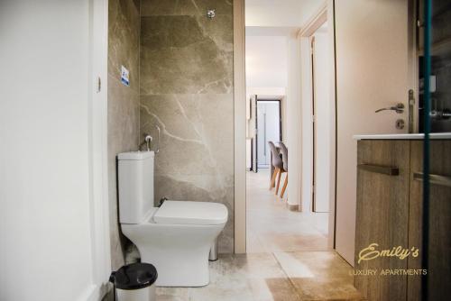 阿爾戈斯托利的住宿－EMILY'S LUXURY APARTMENTS/ GARDEN，一间带白色卫生间和走廊的浴室