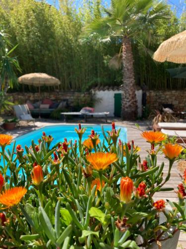 Maison d hôtes LA VILLA MADELEINE