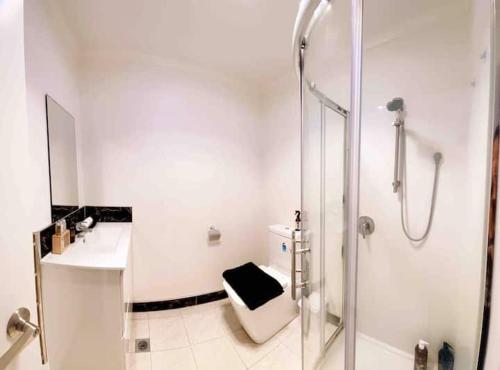 Un baño con ducha, inodoro y lavabo. en Waikato Uni guest room with private bathroom, en Hamilton