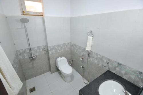 a bathroom with a toilet and a sink at Kallisto Hotel in Gilgit