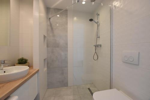 een badkamer met een douche, een toilet en een wastafel bij ArtApartment G 13 in Wisła