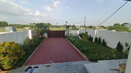 a walkway in a yard with a dog laying on the ground at Ruchika's Orchid in Hyderabad