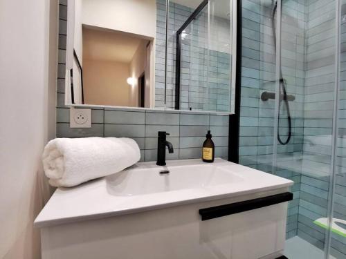 une salle de bain avec un lavabo et une douche avec un miroir dans l'établissement Confortable et cosy appartement en centre-ville, à Aix-en-Provence