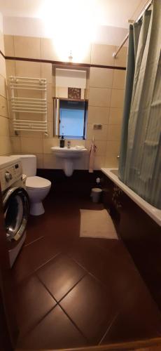 W łazience znajduje się umywalka, toaleta i lustro. w obiekcie Apartament Piernikowy w Toruniu