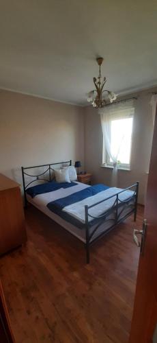 sypialnia z łóżkiem z niebieską pościelą i oknem w obiekcie Apartament Piernikowy w Toruniu