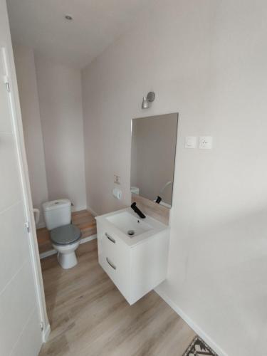 uma casa de banho branca com um WC e um espelho. em Chez Marie em Drosnay