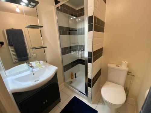 La salle de bains est pourvue de toilettes, d'un lavabo et d'une douche. dans l'établissement Studio Quai Loti, à Paimpol