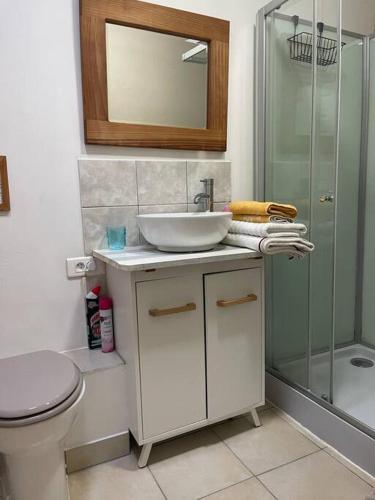 une salle de bain avec un lavabo, une douche et des toilettes dans l'établissement La Petite Maison Rustique, à Eyzerac