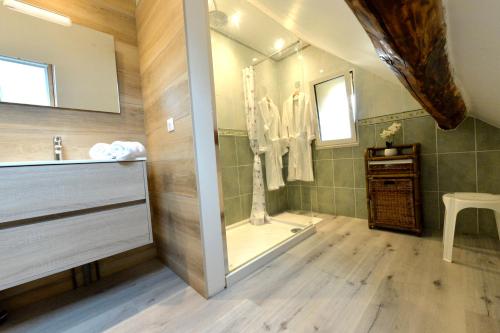 a bathroom with a shower and a sink at DEMEURE DU VIVIER in Appenai-sous-Bellême