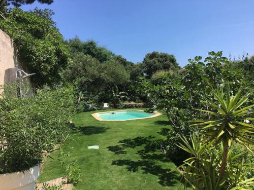 un jardin avec une piscine dans une cour dans l'établissement La Tramontane, Propriété Sainte-Maxime avec piscine, proche plage, à Sainte-Maxime