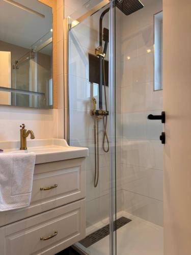 une salle de bain avec douche et lavabo dans l'établissement Apartment M - Zell am See, à Zell am See