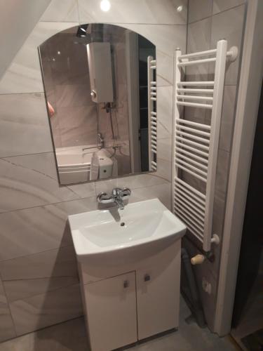 吉日茨科的住宿－Dana-Mazury，一间带水槽和镜子的浴室