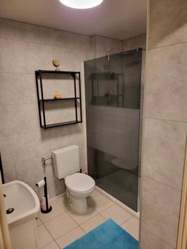 une salle de bain avec toilettes, douche et lavabo dans l'établissement Chateau Tropezina 6B, à Ostende