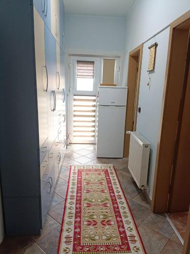 - une cuisine avec un réfrigérateur et un tapis au sol dans l'établissement Anett lak, à Oradea