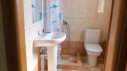 a bathroom with a sink and a toilet at Evia Summer Retreats - Milea Sunny Paradise in Kanatádhika