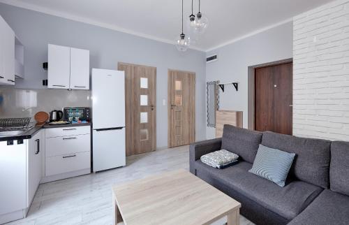 Il comprend un salon avec un canapé gris et une cuisine. dans l'établissement Załęże Comfort Apartment, à Poznań