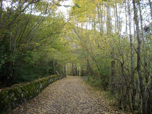 Paesaggio naturale nelle vicinanze dell'appartamento