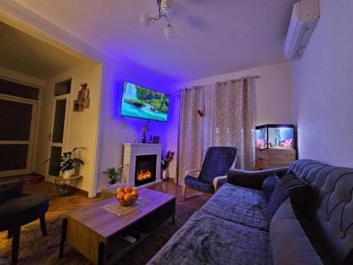 una sala de estar con un sofá y una chimenea en Apartment Lea, en Kotor