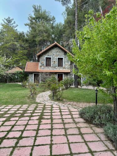 Сад в Rose Garden Platres