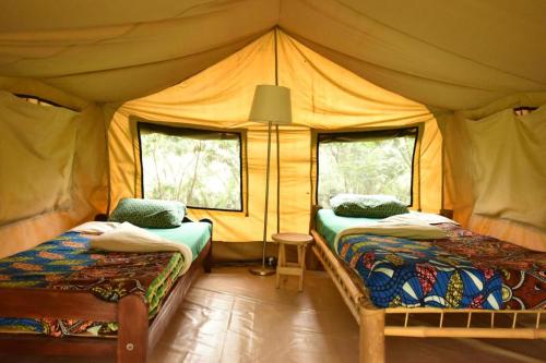 1 dormitorio con 2 camas en una tienda de campaña en Room in BB - Red Rocks Rwanda - Safari Tent Twin, en Nyakinama