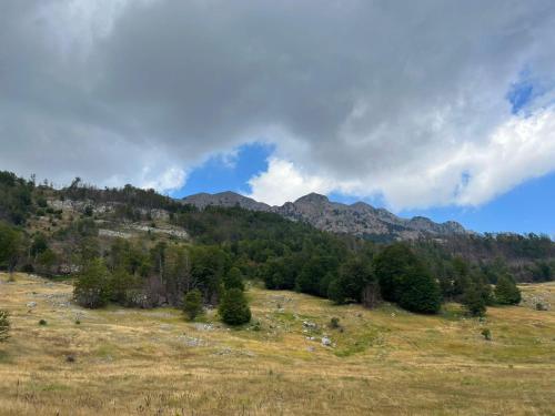 a field with trees and mountains in the background at Vacation Home Domgjon in Rrëshen