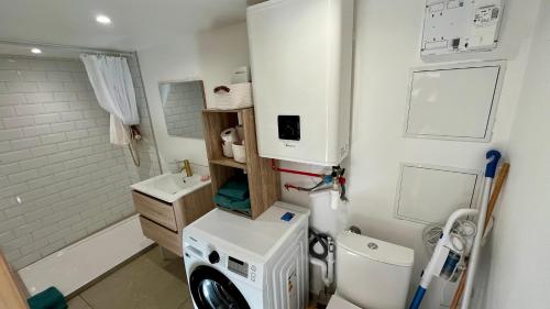 une salle de bain avec toilettes et lavabo et une machine à laver dans l'établissement Logement Cosy plein centre village avec mezzanines, à Venerque